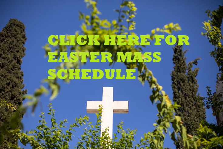 CLICK HERE FOR MASS SCHEDULE